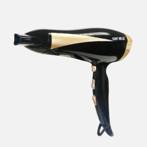 Pro Hair Dryer (HD-668A)