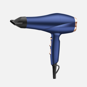 Pro Hair Dryer (HD-668)